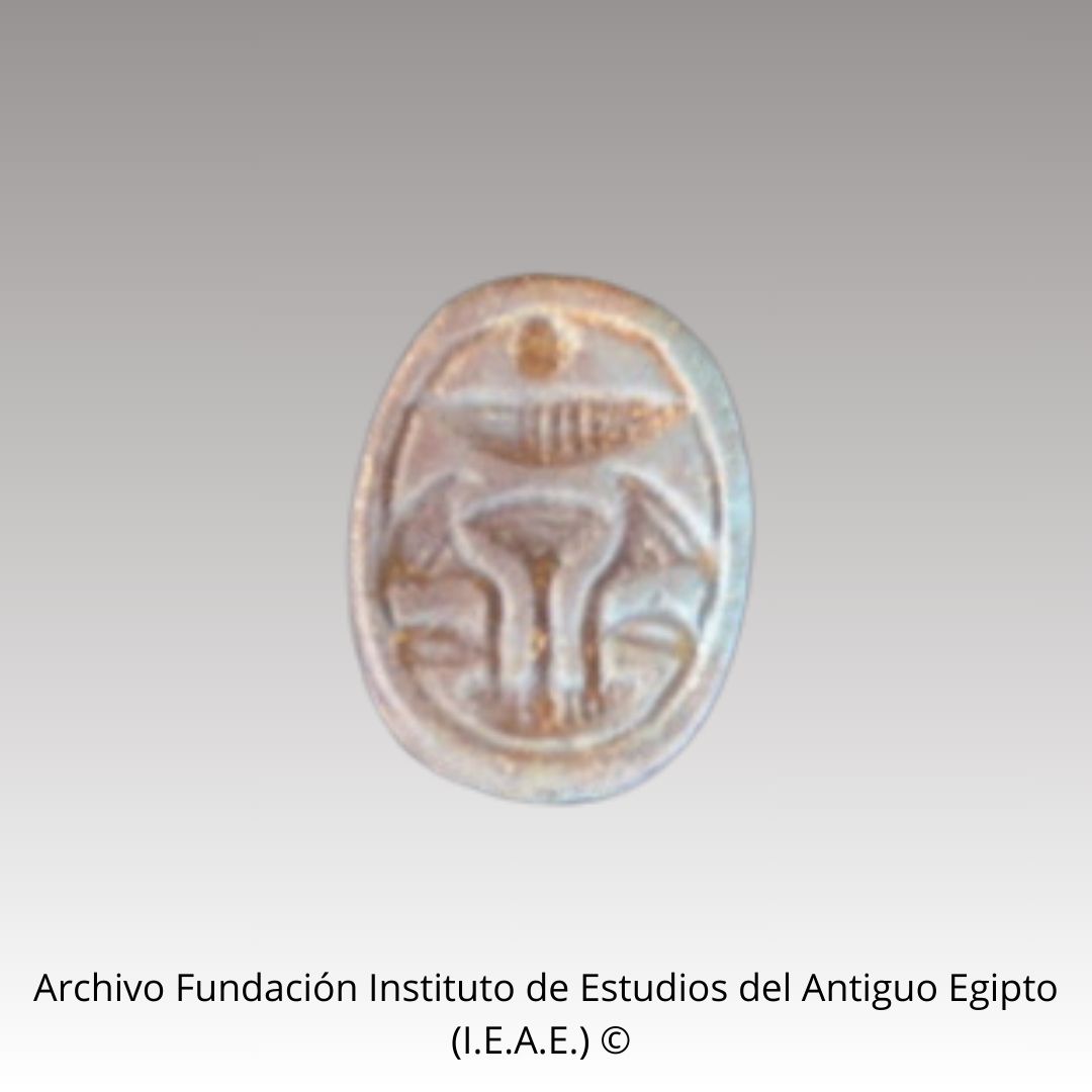 Escarabeo – Scarabs